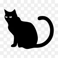黑猫狗猫宠物黑猫