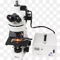 荧光显微镜光学仪器显微镜技术