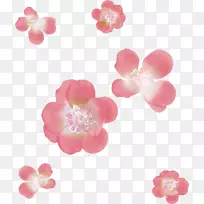 樱花花瓣剪贴画-珍珠