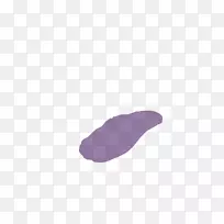 紫紫丁香薰衣草-肾
