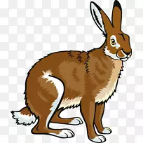 北极野兔欧洲野兔雪鞋兔阿拉斯加野兔剪贴画-兔子