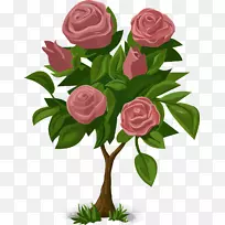 花玫瑰植物动画-灌木丛