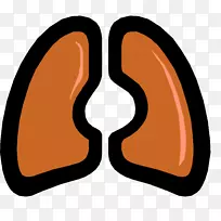 肺特发性肺纤维化呼吸系统疾病慢性阻塞性肺疾病-肺