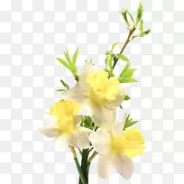 花卉剪贴画-花黄色