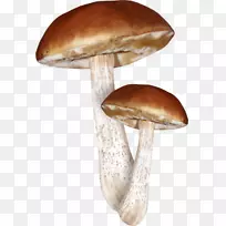 蘑菇封装的后记剪贴画-蘑菇