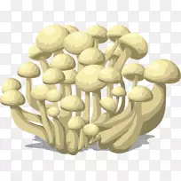 原生质体和真菌，雪木耳，灵芝蘑菇
