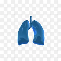 芯片上的肺-片上的组织-肺