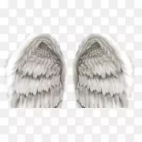 天使翅膀剪贴画-第一名