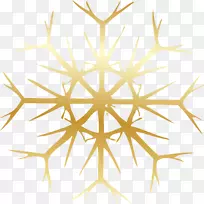 雪片形状剪贴画-雪花