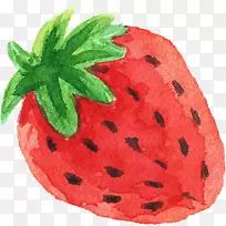 透明水彩画草莓水果手绘
