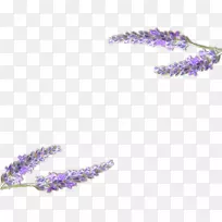 英国薰衣草普罗旺斯紫色香水薰衣草油-薰衣草