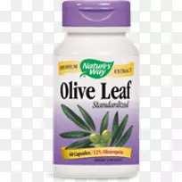 膳食补充剂橄榄叶oleuropein提取物-橄榄叶