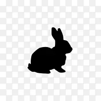 复活节兔子白兔夹艺术影子