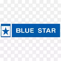 印度蓝星资讯科技蓝星有限公司业务保证