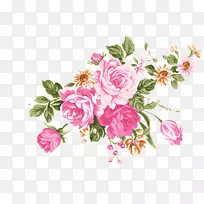 花水彩画海滩玫瑰-粉红色水彩画花