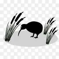 新西兰鸟小斑点猕猴桃剪贴画-猕猴桃鸟