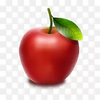 巴巴多斯樱桃食品辅助性水果-红苹果