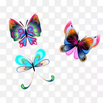 蝴蝶昆虫传粉器节肢动物-蝴蝶