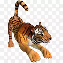 虎狮展示剪贴画-3D