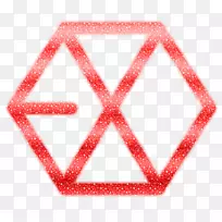 EXO标志在12月给奇迹的过量使用