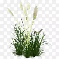 狗擦伤草坪电脑图标.托儿所
