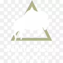 三角线标志-tipi