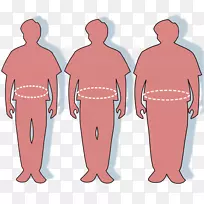 腰部腹部肥胖超重脂肪组织