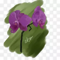 紫紫丁香洋红蛾兰花