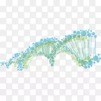 人类基因组计划遗传学基因测试基因组学-dna
