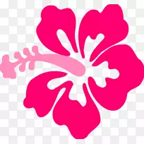 夏威夷木槿黄芙蓉画夹艺术-热带花