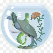 海龟水族馆宠物剪贴画-鱼缸