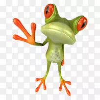 青蛙明信片桌面壁纸夹艺术-青蛙