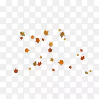 秋叶彩色桌面壁纸-向日葵叶