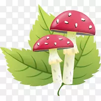 木耳剪贴画-蘑菇