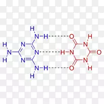 碱基对gc含量dna腺嘌呤核酸双螺旋化学