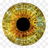 人眼瞳孔剪贴术-金色纹理
