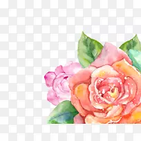 花卉水彩画花园玫瑰花卉设计透明水彩画