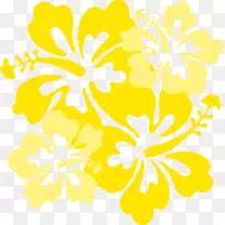 夏威夷插花艺术-花黄色
