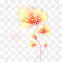 花卉橙色绘画摄影-花卉