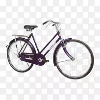 帕什利自行车混合动力脚踏车