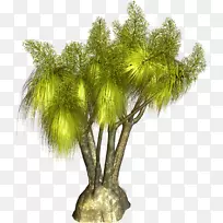 植物剪贴画-棕榈树