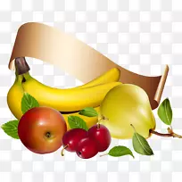 健康营养智人生命-葡萄柚