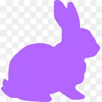 复活节兔子白兔荷兰剪贴画-拉比特