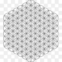 重叠圆网格神圣几何图形绘制