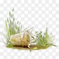 草夹艺术