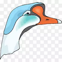 鹅鸭鸟夹艺术-鹅