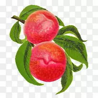 桃食水果剪贴画-桃子