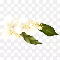 花卉剪贴画-短跑