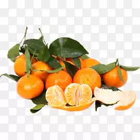 柑橘类食品-柿子