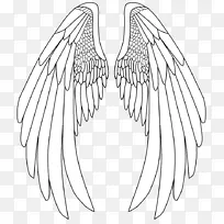 素描-天使翅膀